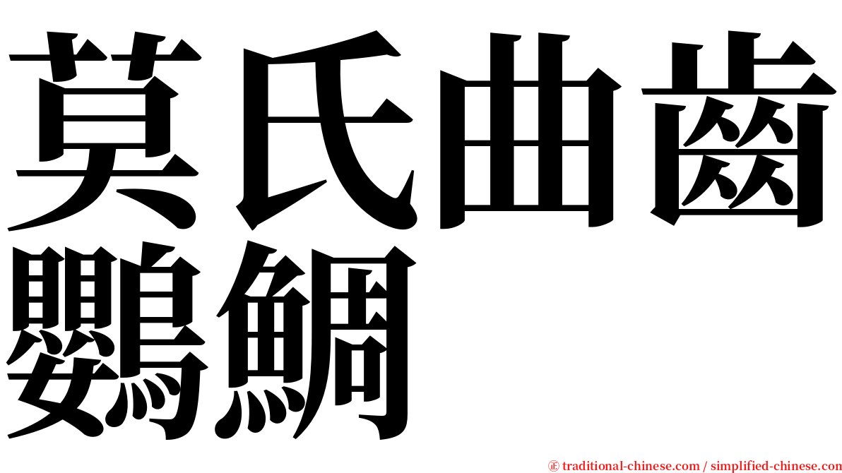 莫氏曲齒鸚鯛 serif font