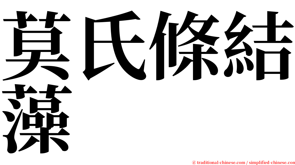 莫氏條結藻 serif font