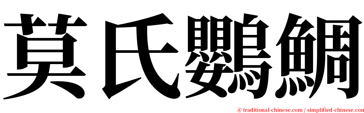 莫氏鸚鯛 serif font