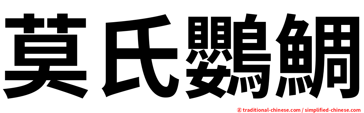 莫氏鸚鯛