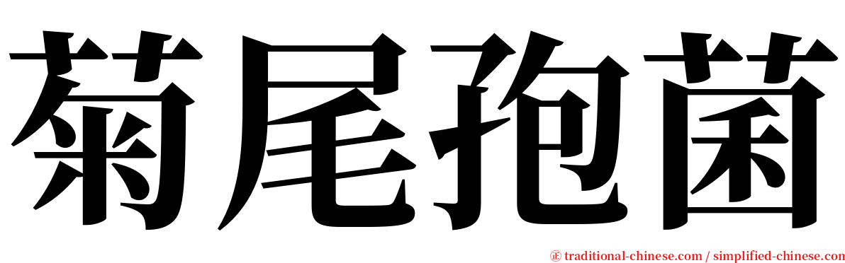 菊尾孢菌 serif font