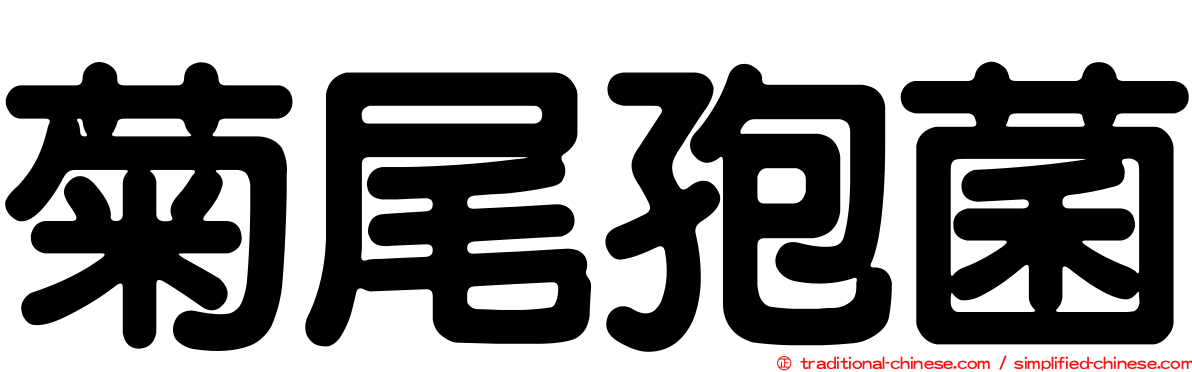 菊尾孢菌