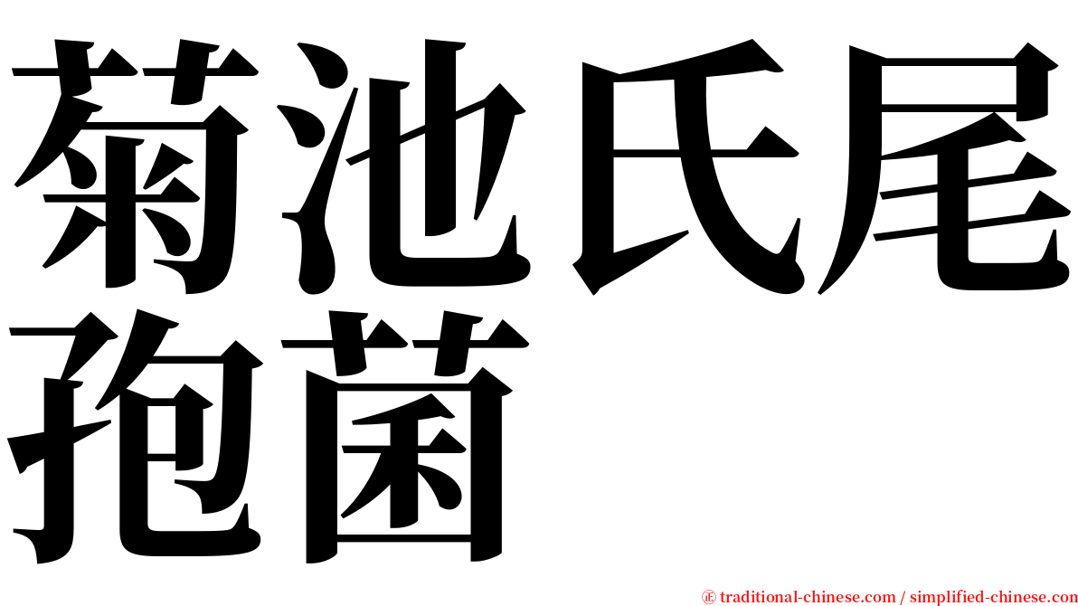 菊池氏尾孢菌 serif font