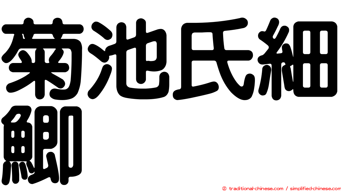 菊池氏細鯽