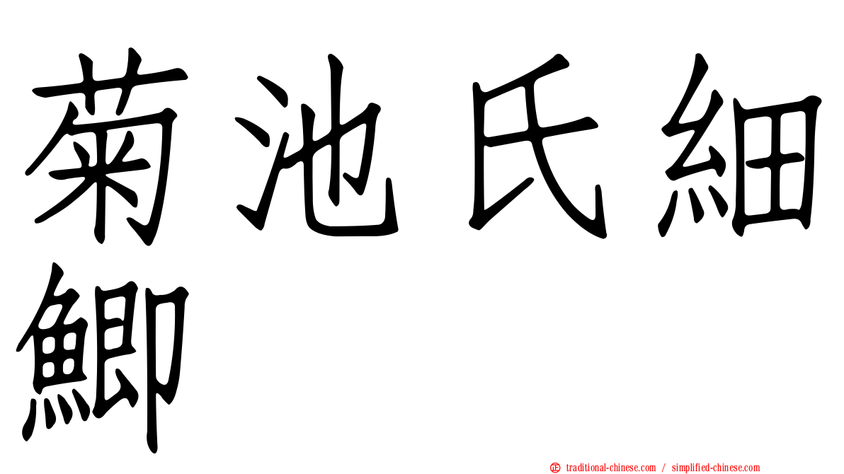 菊池氏細鯽