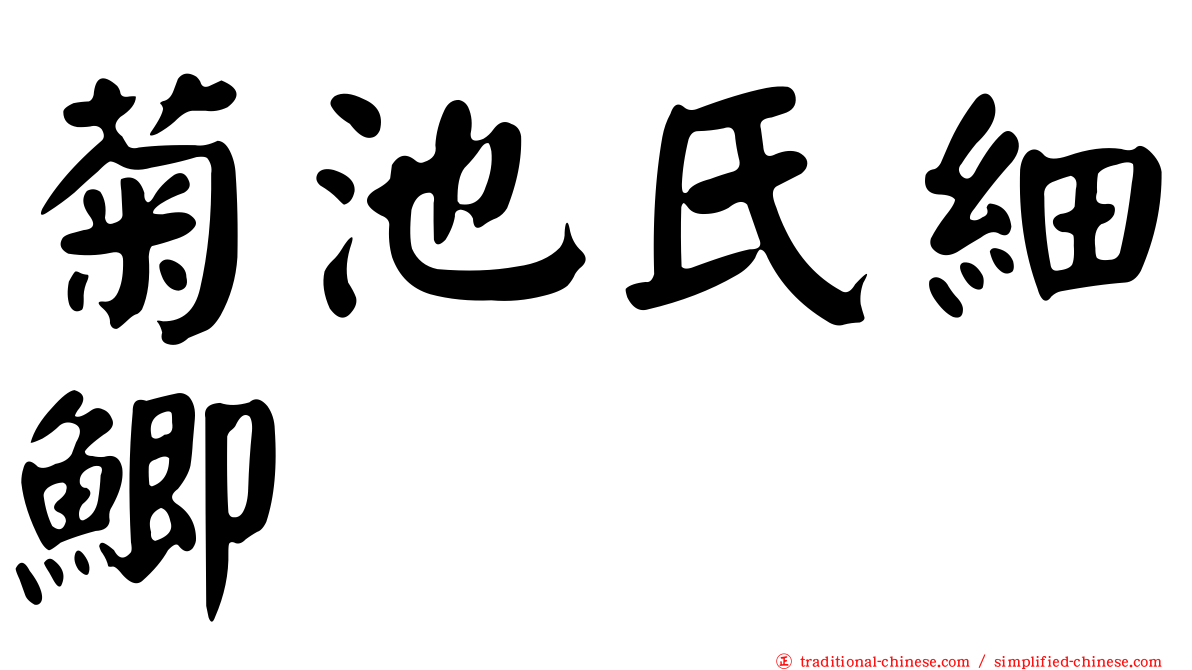 菊池氏細鯽