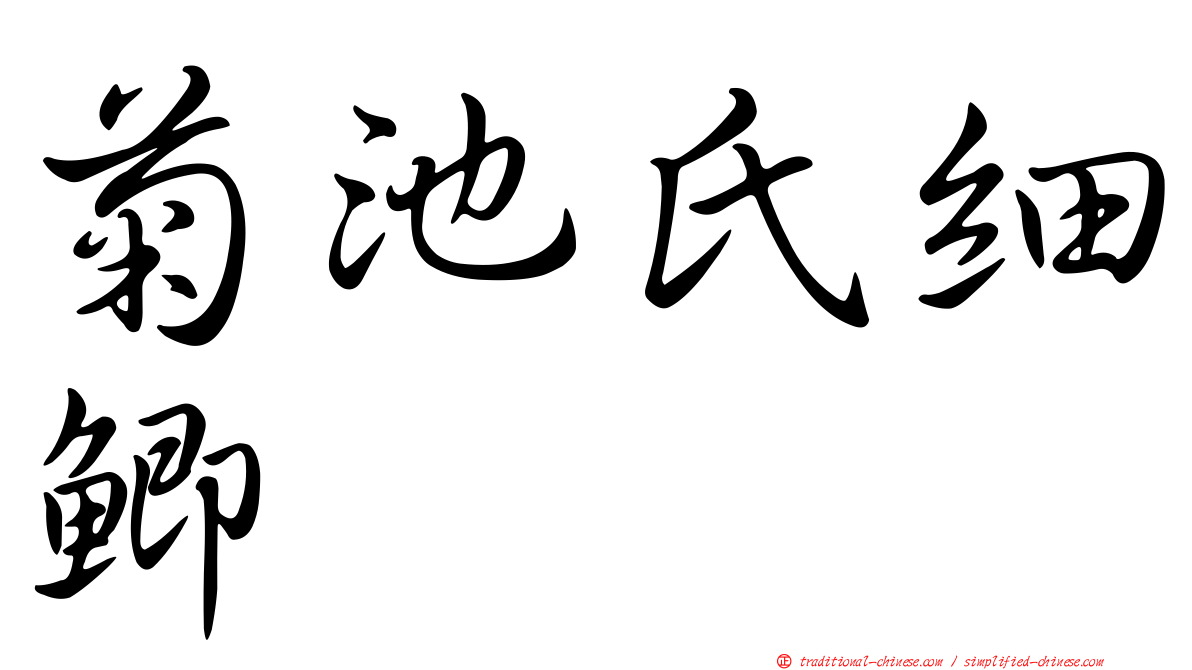 菊池氏細鯽