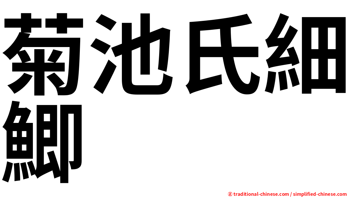 菊池氏細鯽