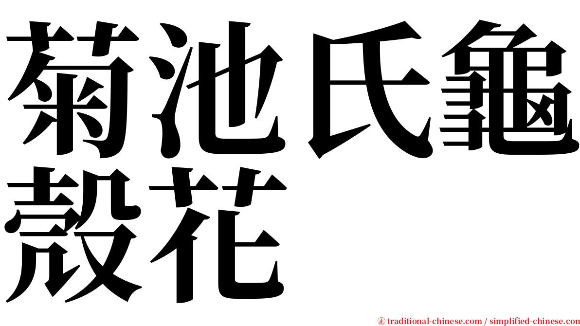 菊池氏龜殼花 serif font