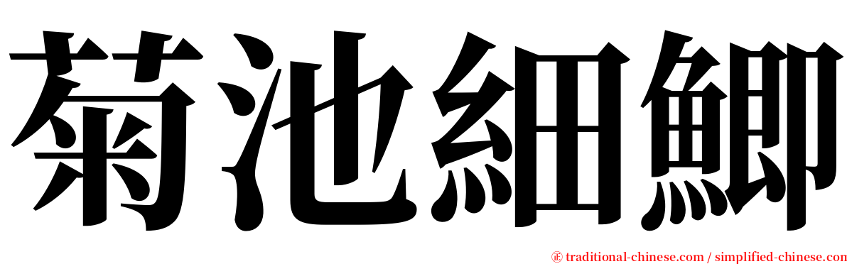 菊池細鯽 serif font