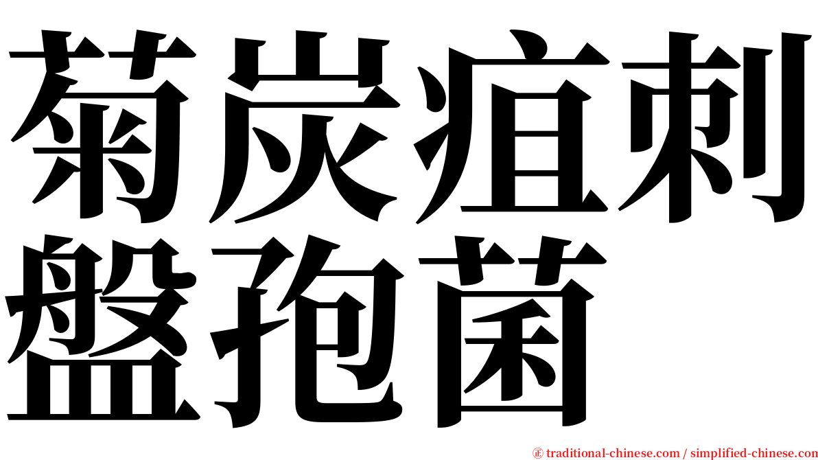 菊炭疽刺盤孢菌 serif font