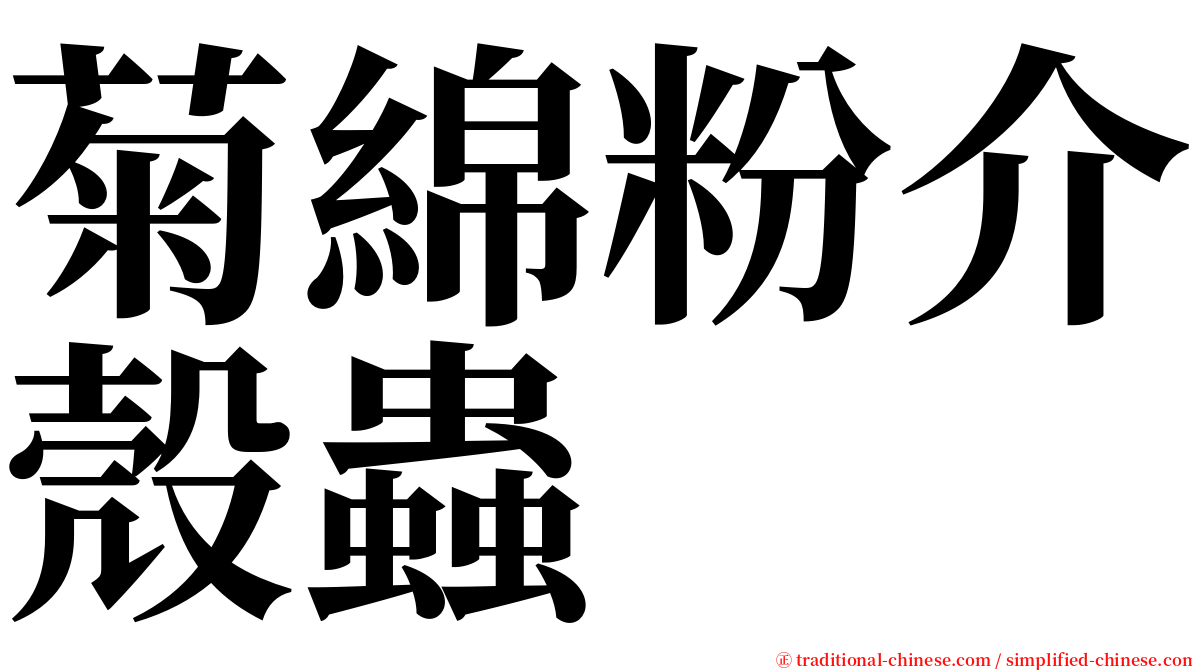 菊綿粉介殼蟲 serif font