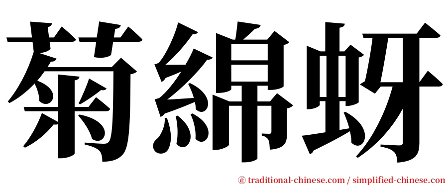 菊綿蚜 serif font