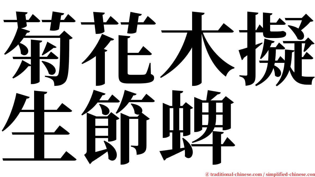 菊花木擬生節蜱 serif font