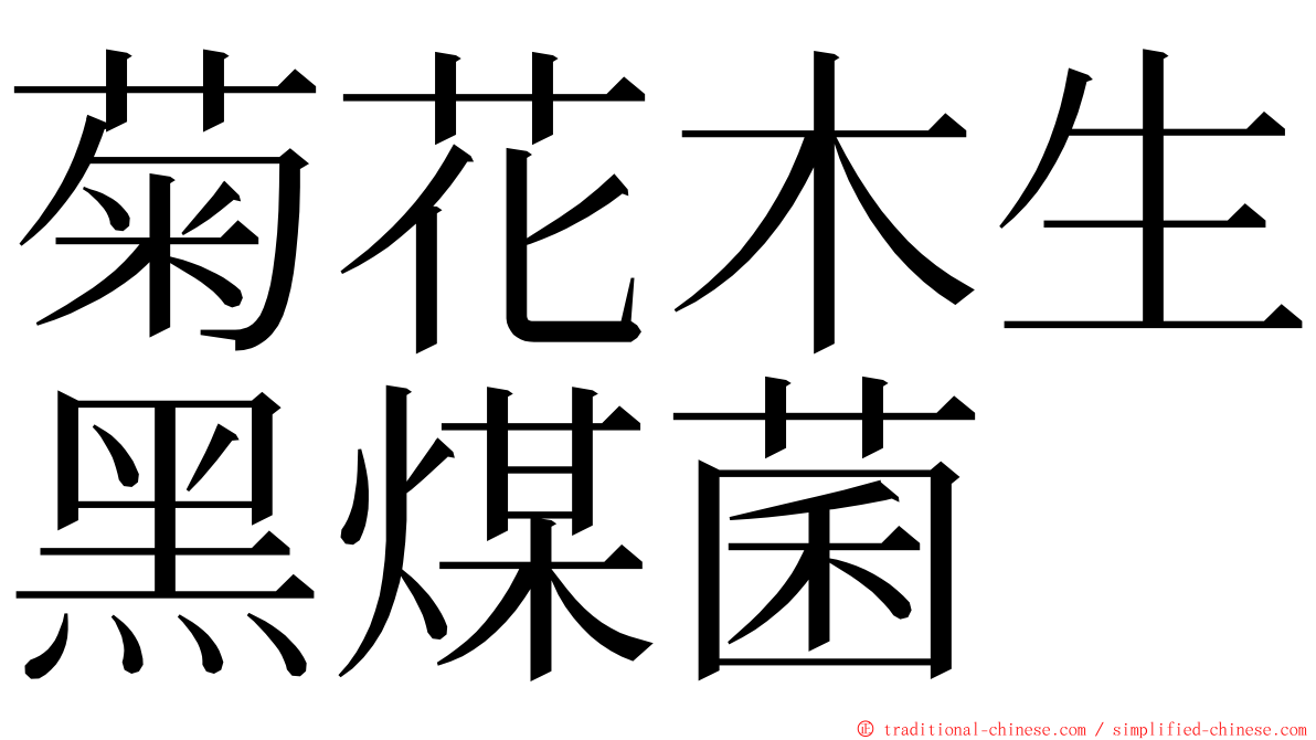 菊花木生黑煤菌 ming font