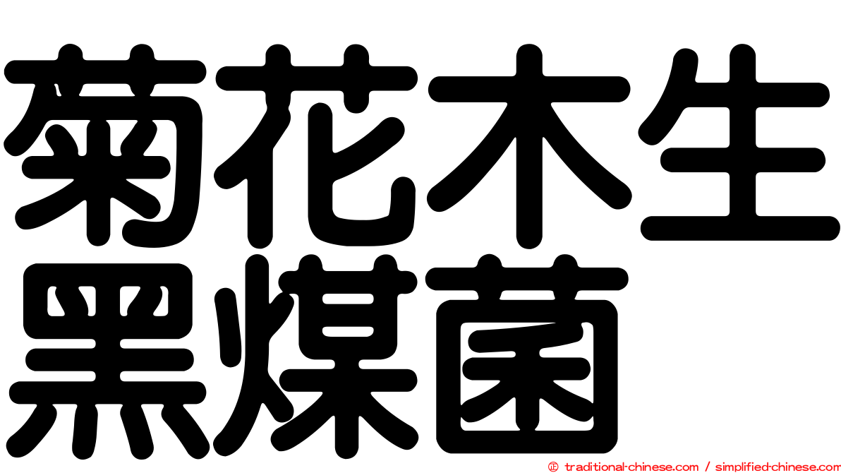菊花木生黑煤菌