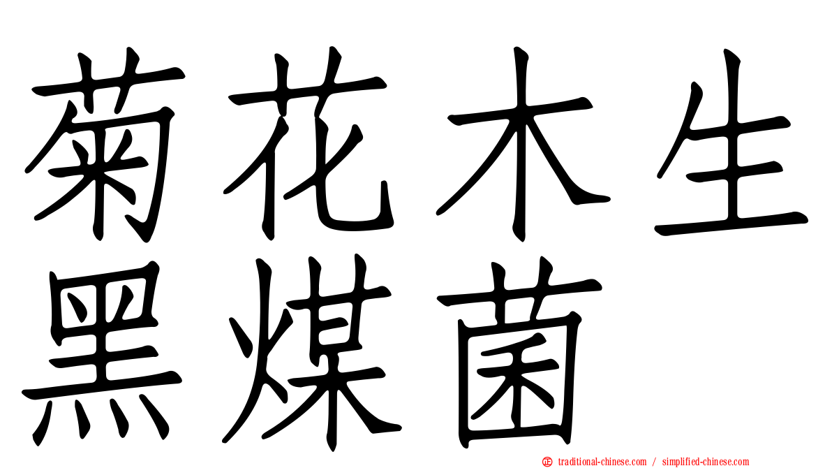 菊花木生黑煤菌