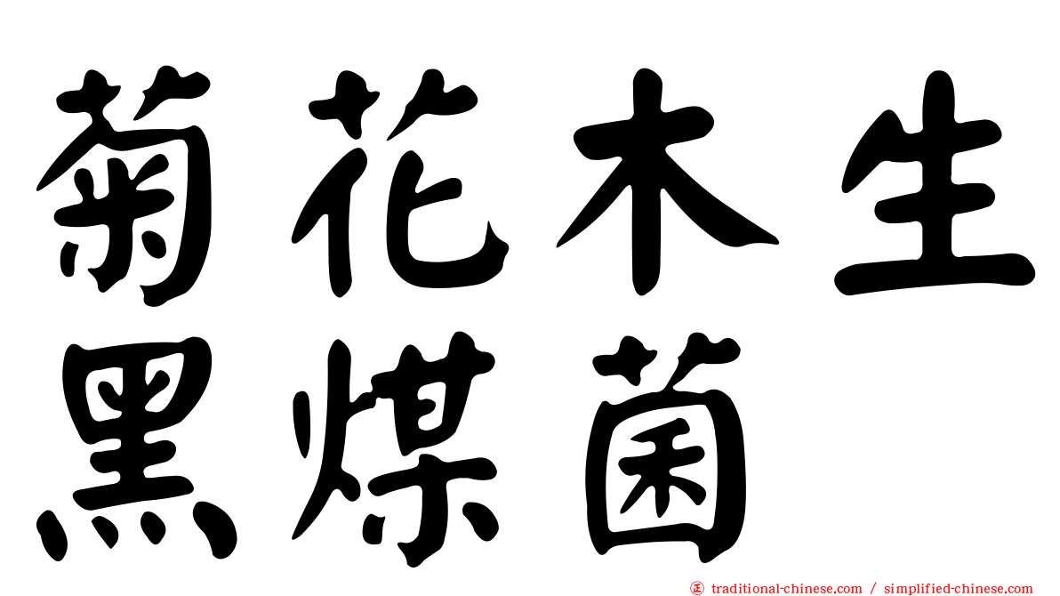 菊花木生黑煤菌