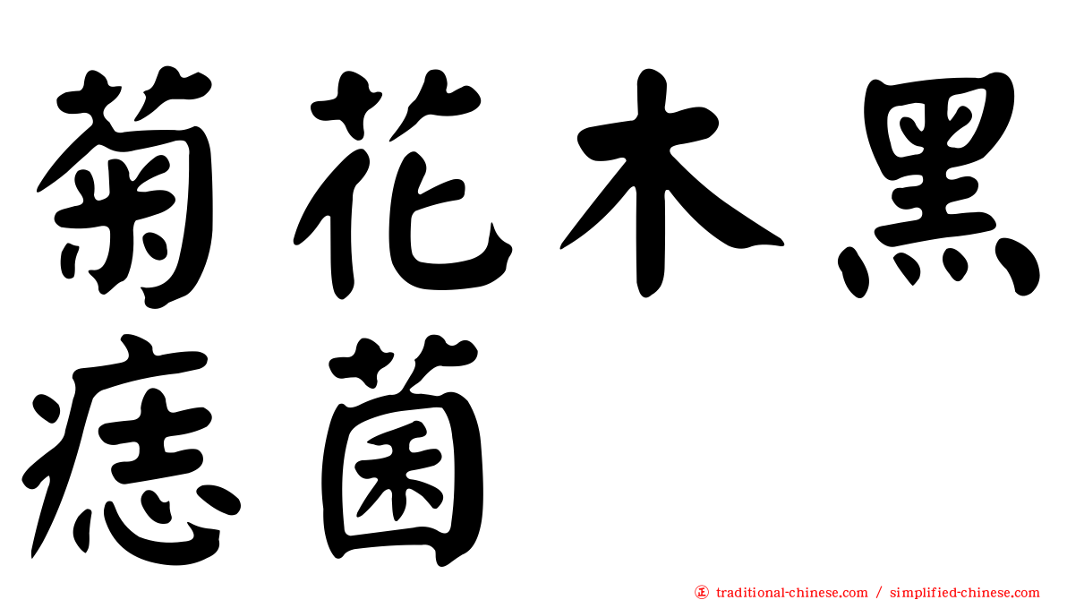 菊花木黑痣菌