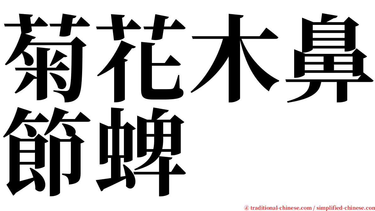 菊花木鼻節蜱 serif font