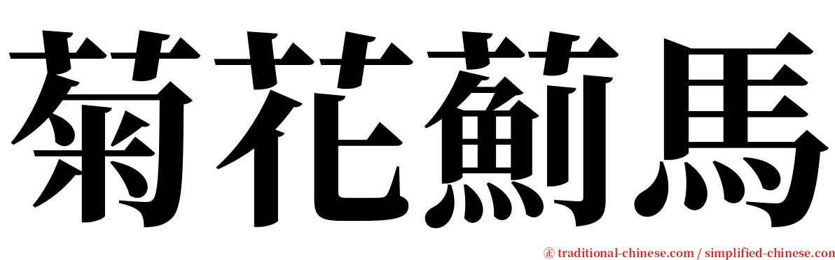 菊花薊馬 serif font