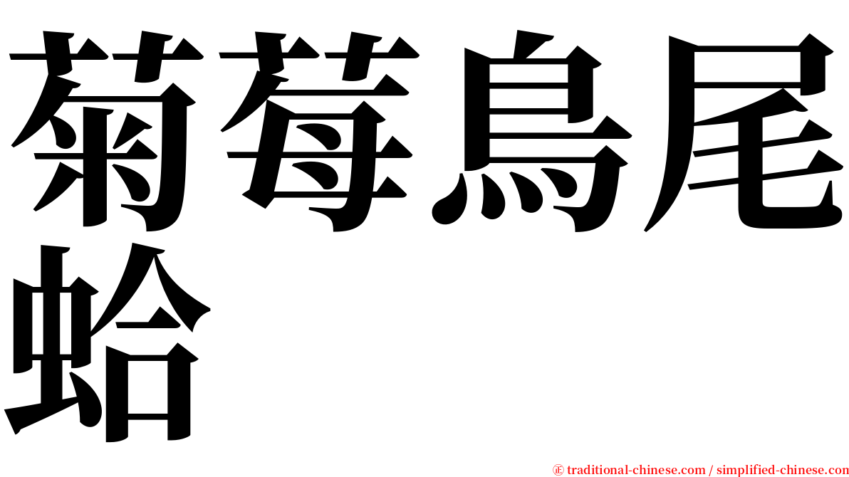 菊莓鳥尾蛤 serif font