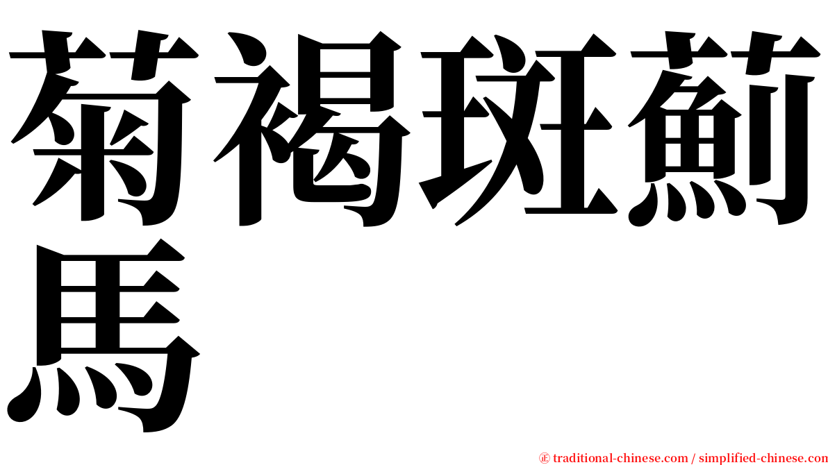 菊褐斑薊馬 serif font