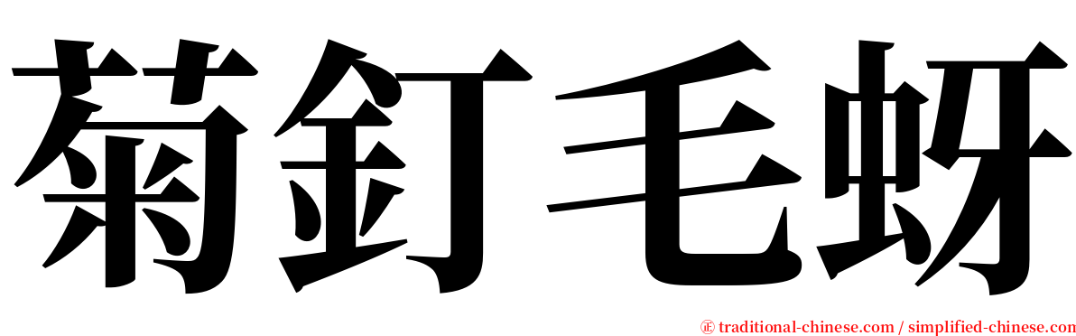 菊釘毛蚜 serif font