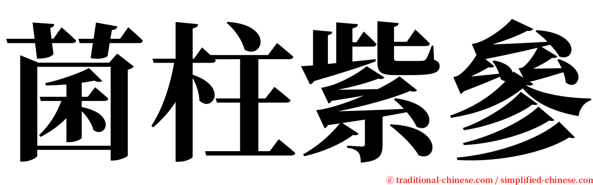 菌柱紫參 serif font