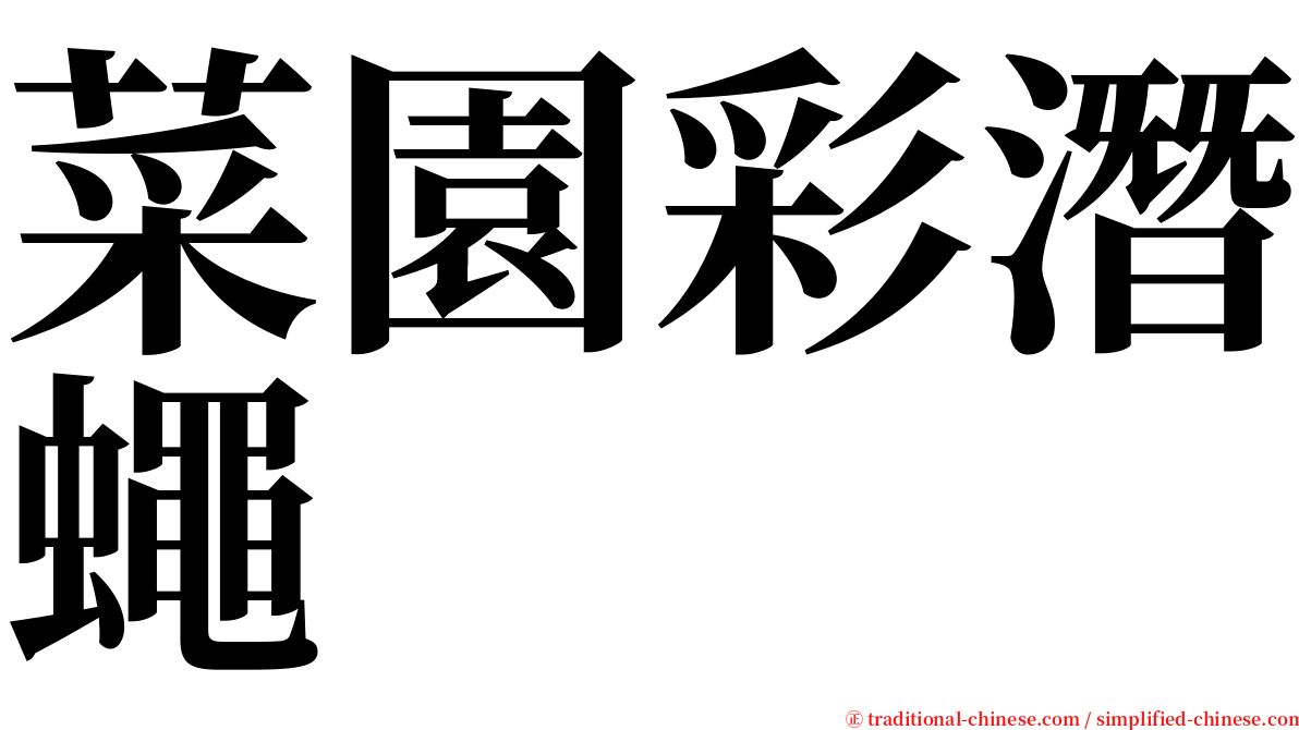 菜園彩潛蠅 serif font