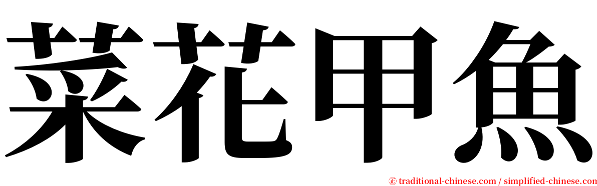 菜花甲魚 serif font