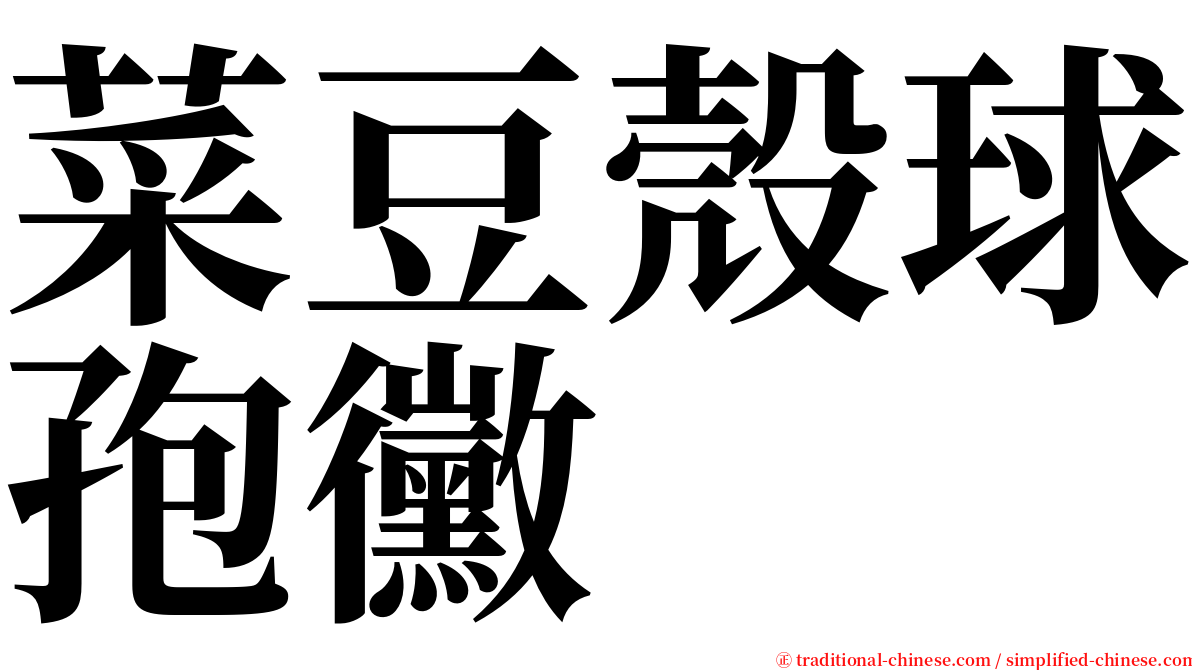 菜豆殼球孢黴 serif font