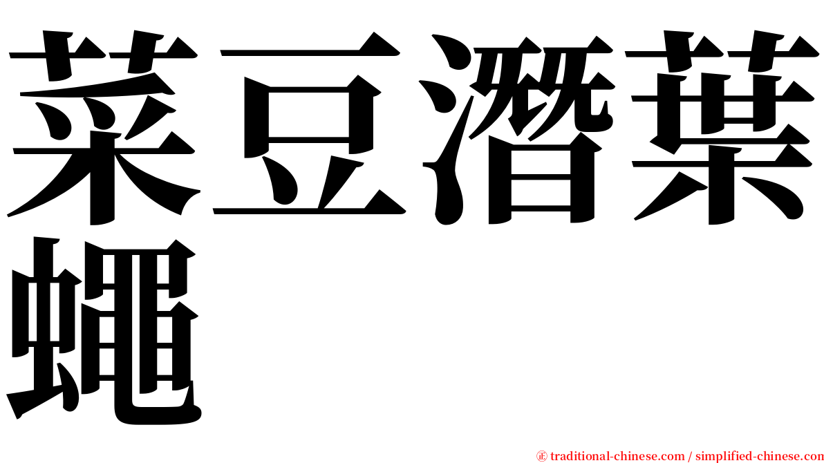 菜豆潛葉蠅 serif font