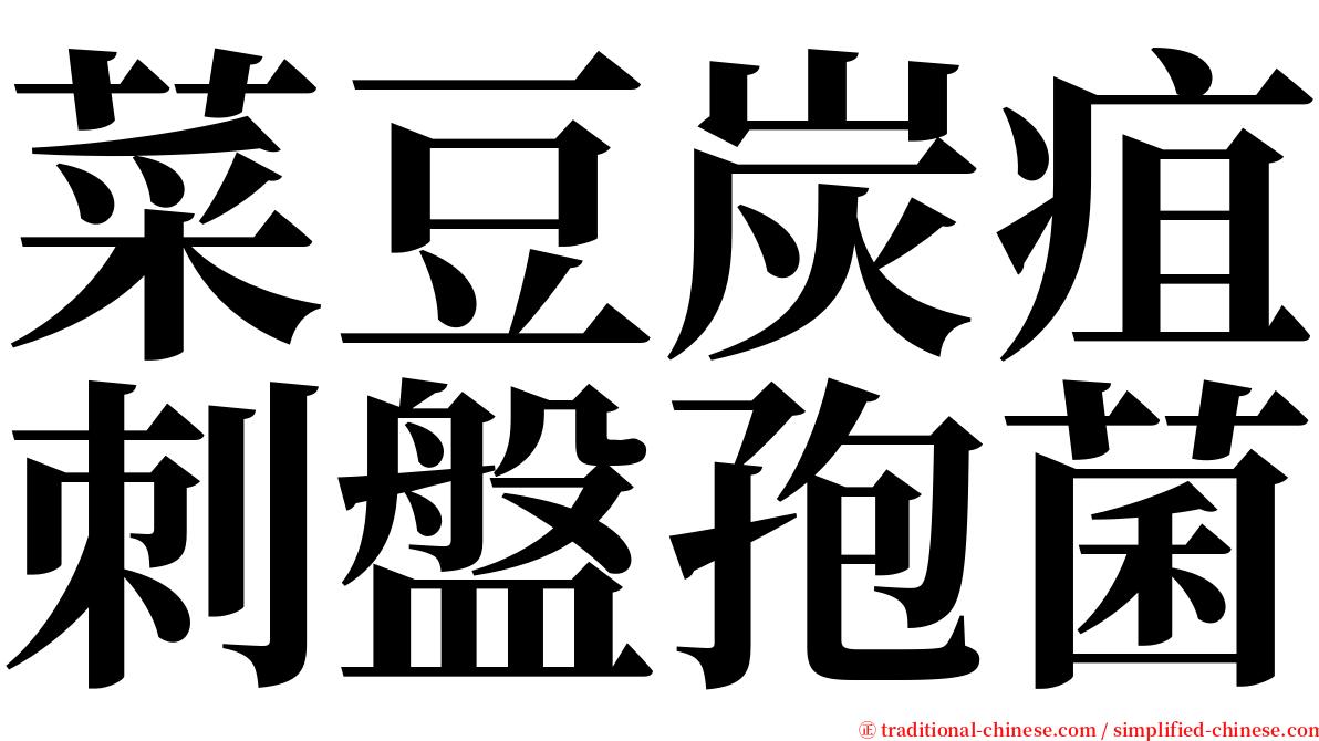 菜豆炭疽刺盤孢菌 serif font