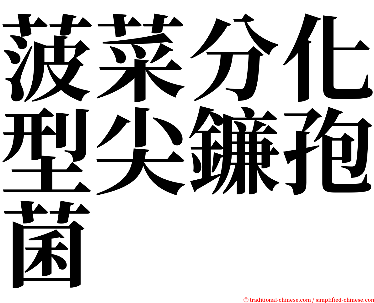 菠菜分化型尖鐮孢菌 serif font