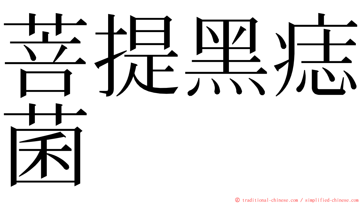 菩提黑痣菌 ming font