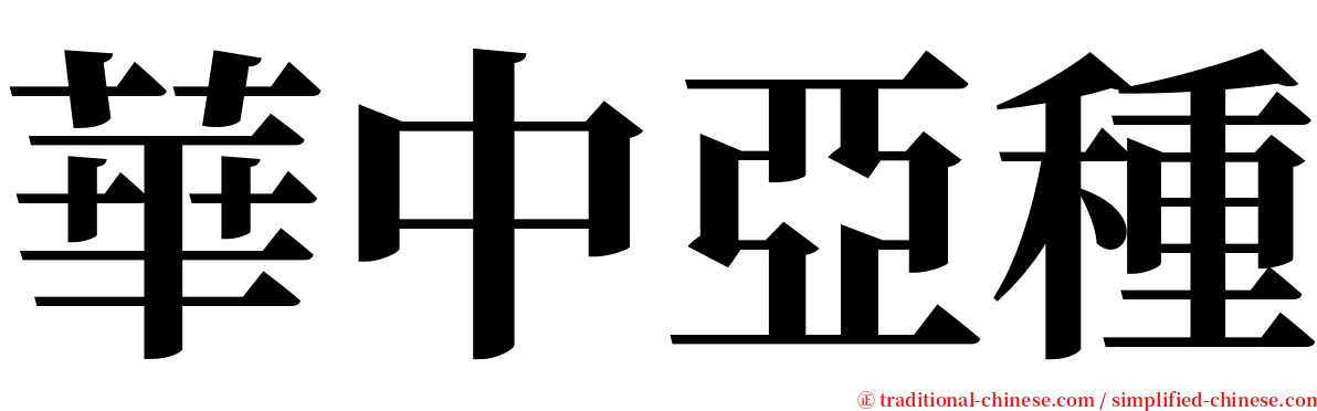 華中亞種 serif font