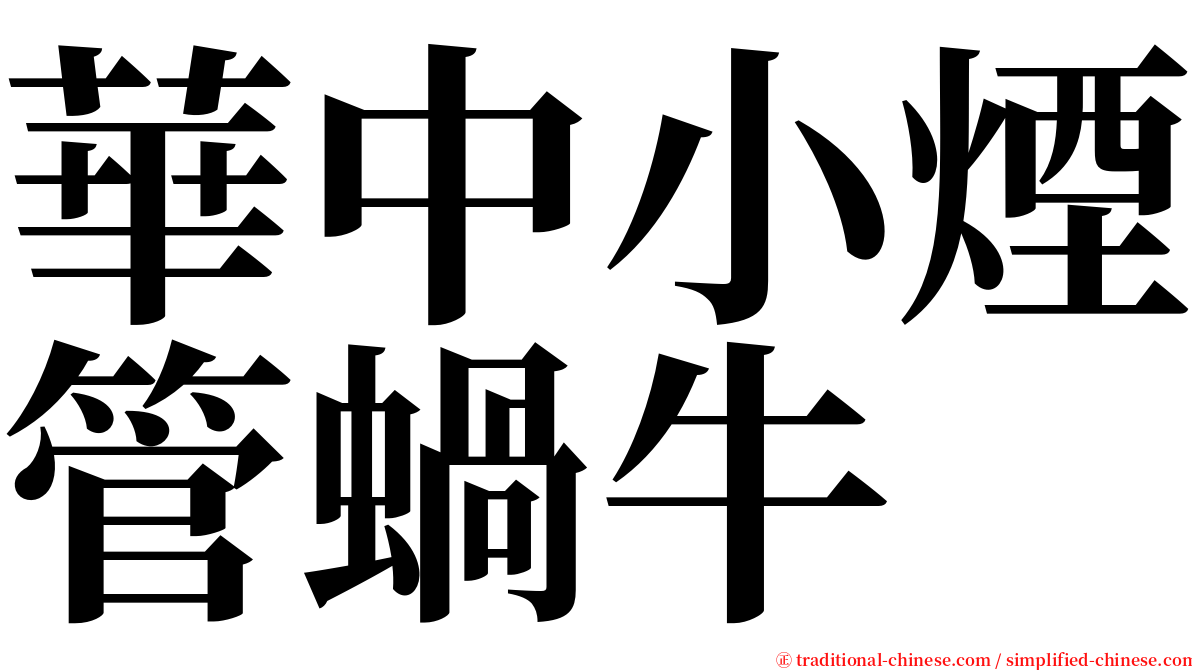 華中小煙管蝸牛 serif font