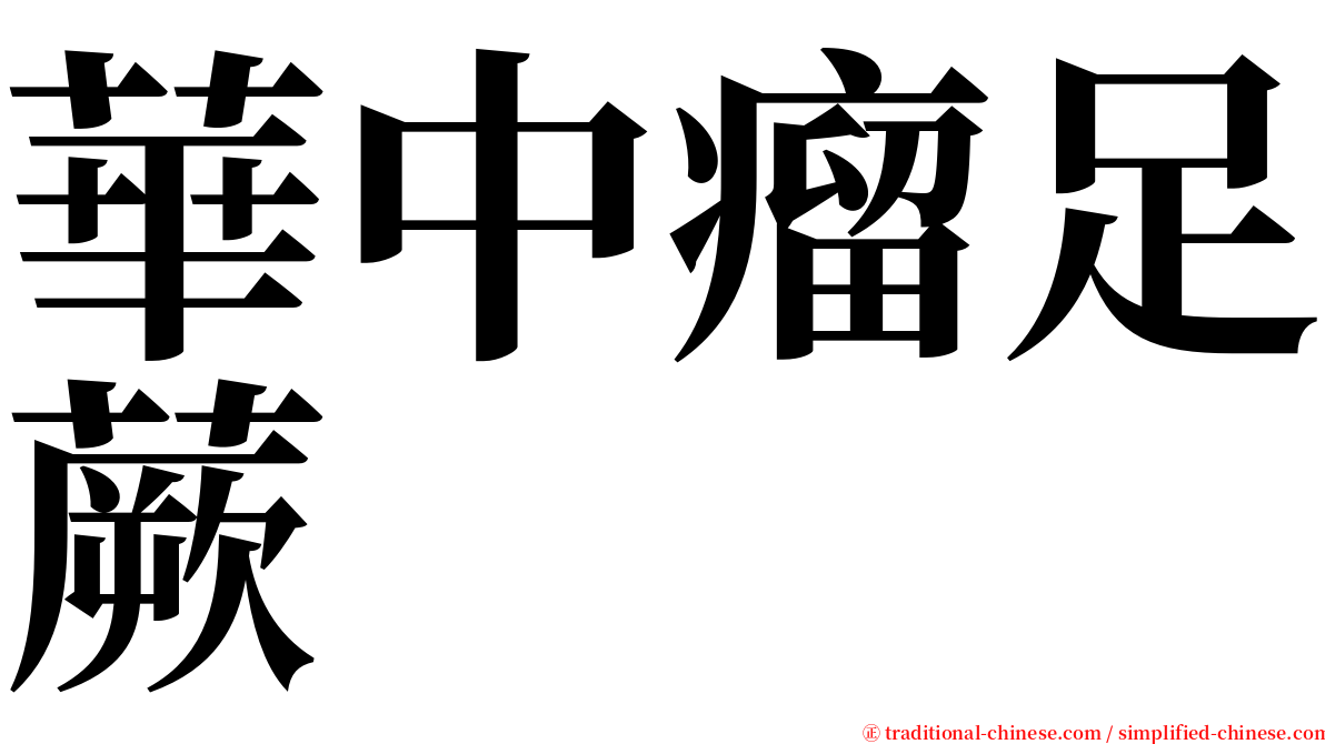 華中瘤足蕨 serif font