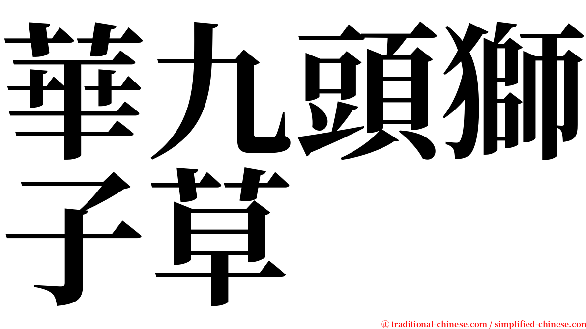 華九頭獅子草 serif font