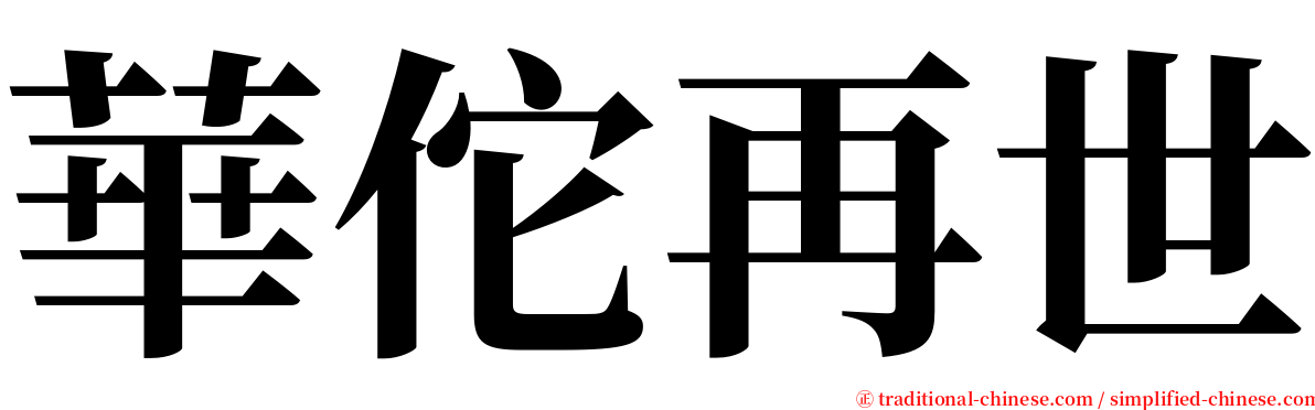 華佗再世 serif font