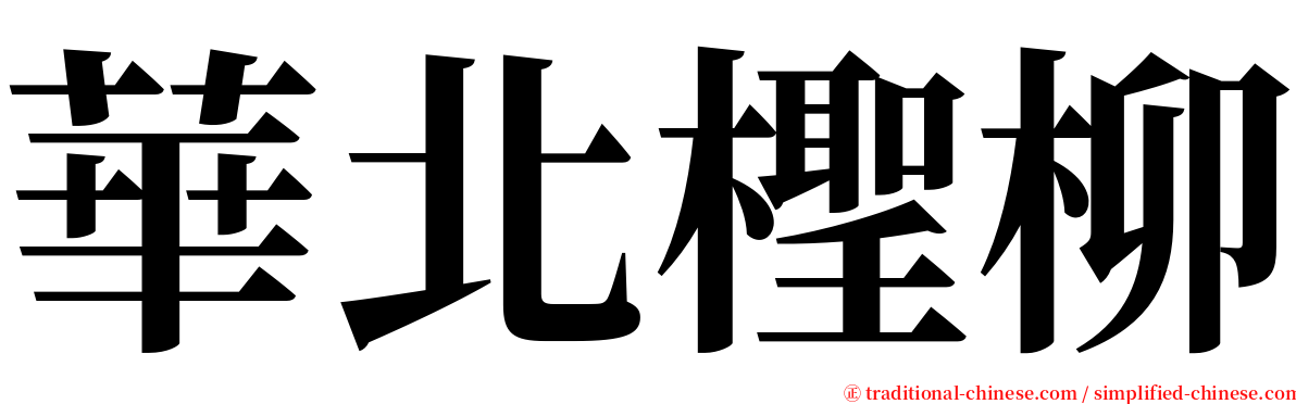 華北檉柳 serif font