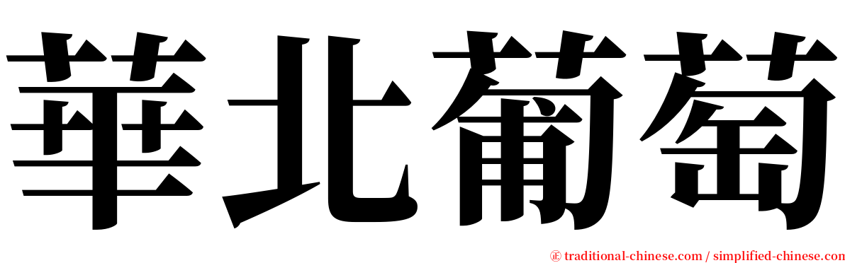 華北葡萄 serif font