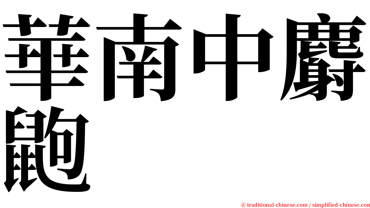 華南中麝鼩 serif font