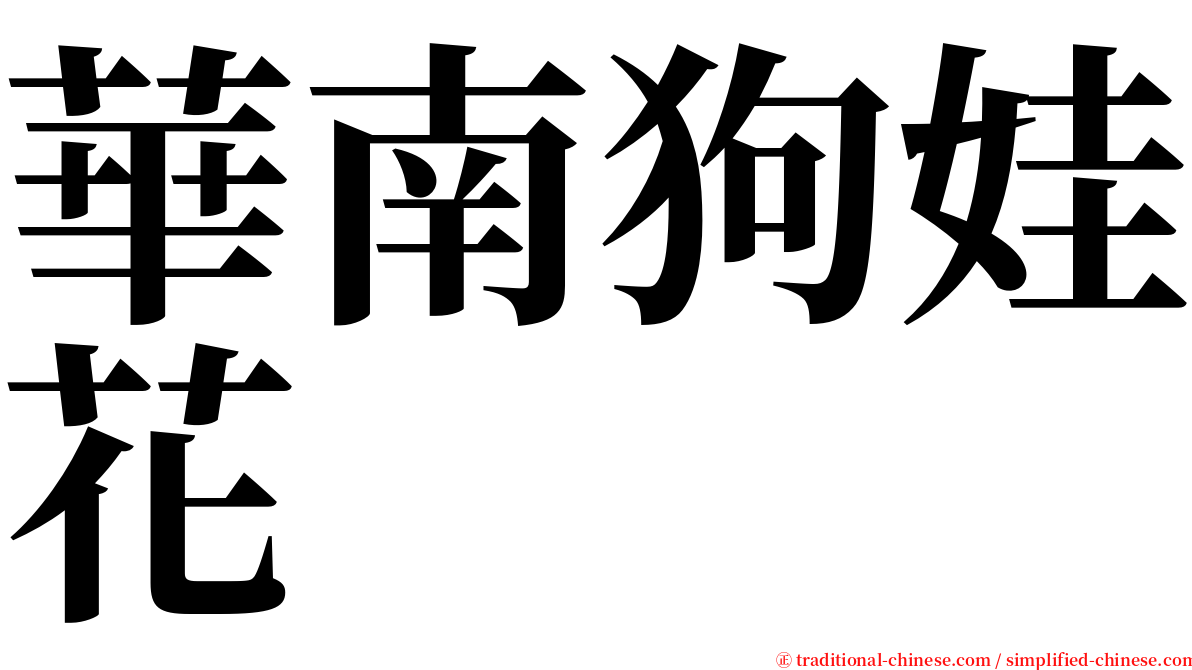 華南狗娃花 serif font