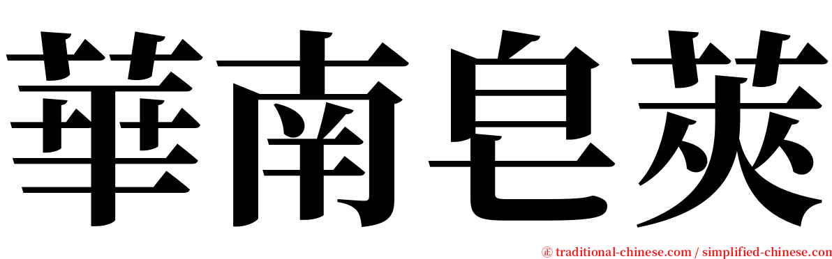 華南皂莢 serif font