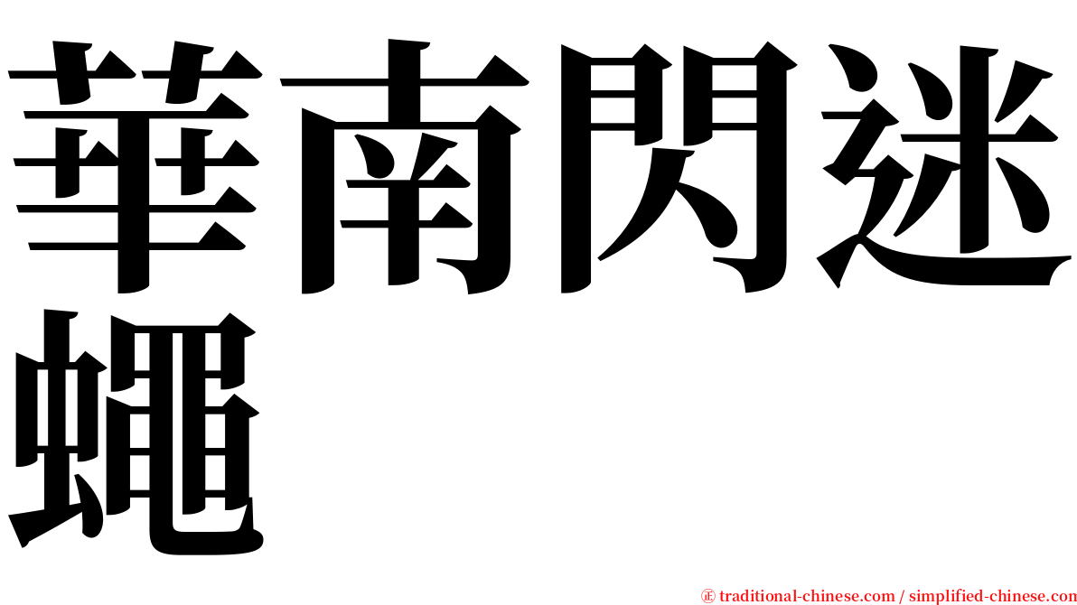 華南閃迷蠅 serif font