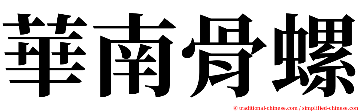 華南骨螺 serif font