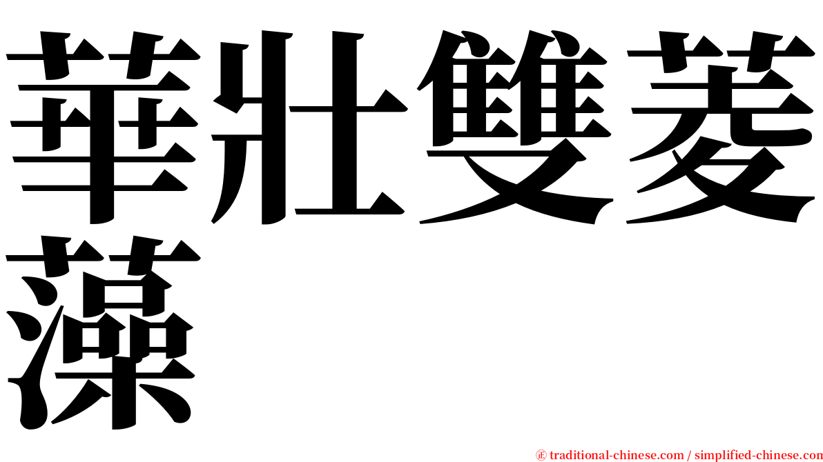 華壯雙菱藻 serif font