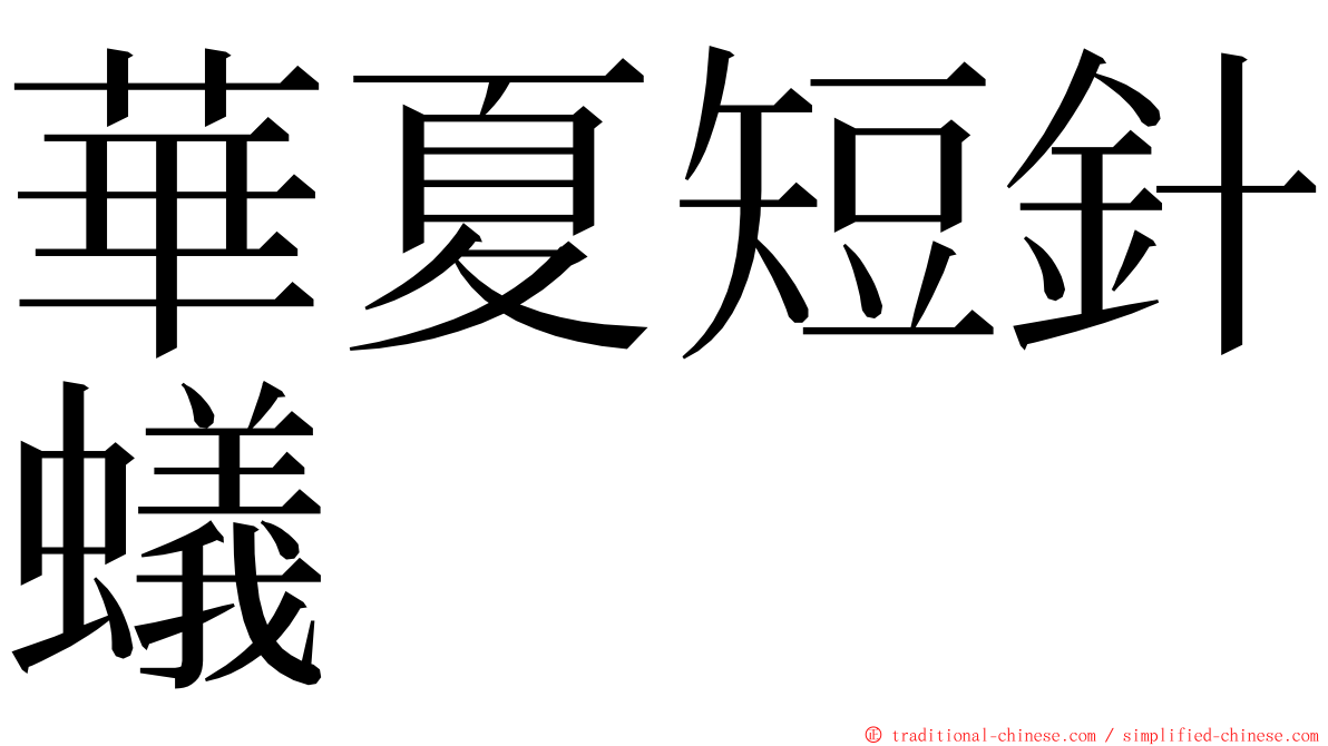 華夏短針蟻 ming font